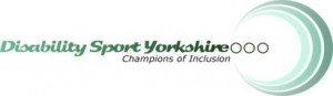 dsylogo